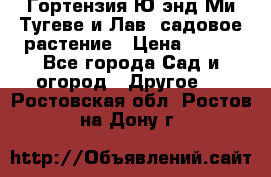 Гортензия Ю энд Ми Тугеве и Лав, садовое растение › Цена ­ 550 - Все города Сад и огород » Другое   . Ростовская обл.,Ростов-на-Дону г.